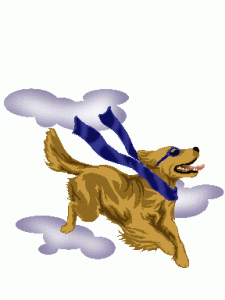 mARFa Dog Training - Unleash the Possibilities