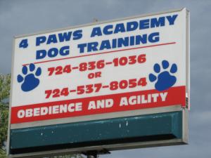 4 Paws Academy Dog Training