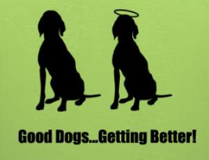 Dog Improvement--Peggy Moran's School for Dogs