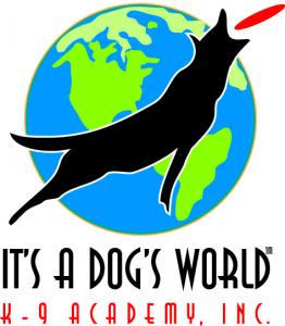 Dog Training Camp
