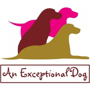IN-HOME Dog Training & ONLINE Coaching
