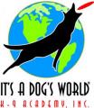 Dog Training Camp