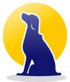 Everyday Dog Training in Charlotte NC