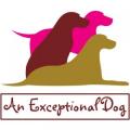 An Exceptional Dog - In-Home Training and Behavior Modification