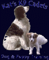 Kat's K9 Cadets Dog & Puppy Training